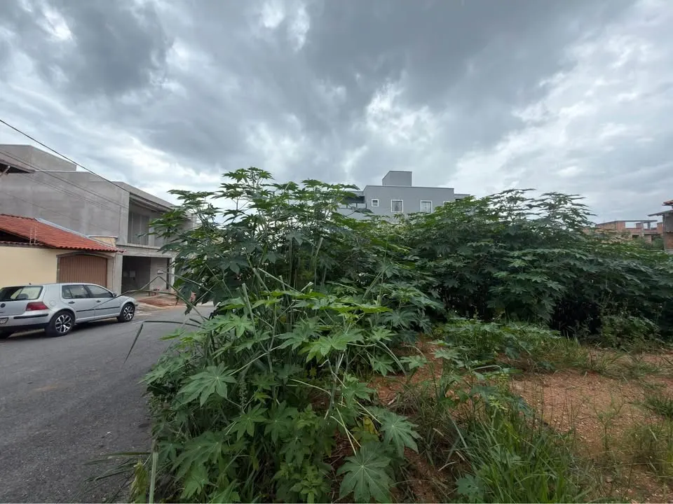 Lote em Vila Belizário · Ref. 048 — foto 2