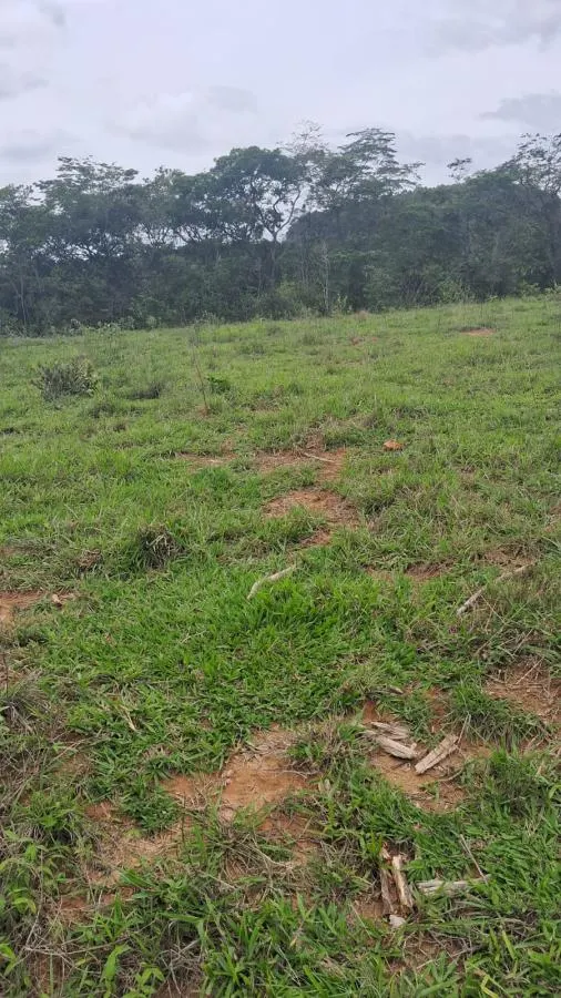 Terreno Rural em TREVO DE PRADOS · Ref. Terreno Rural — foto 4