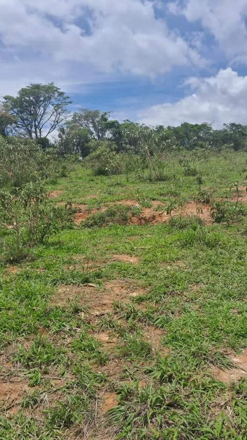 Terreno Rural em TREVO DE PRADOS · Ref. Terreno Rural — foto 8