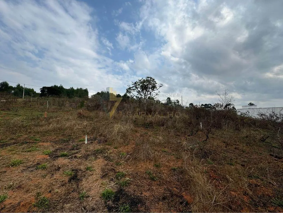 Lote em Vila Belizário · Ref. Lote — foto 4